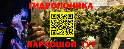 прущие крисы Славянск-на-Кубани