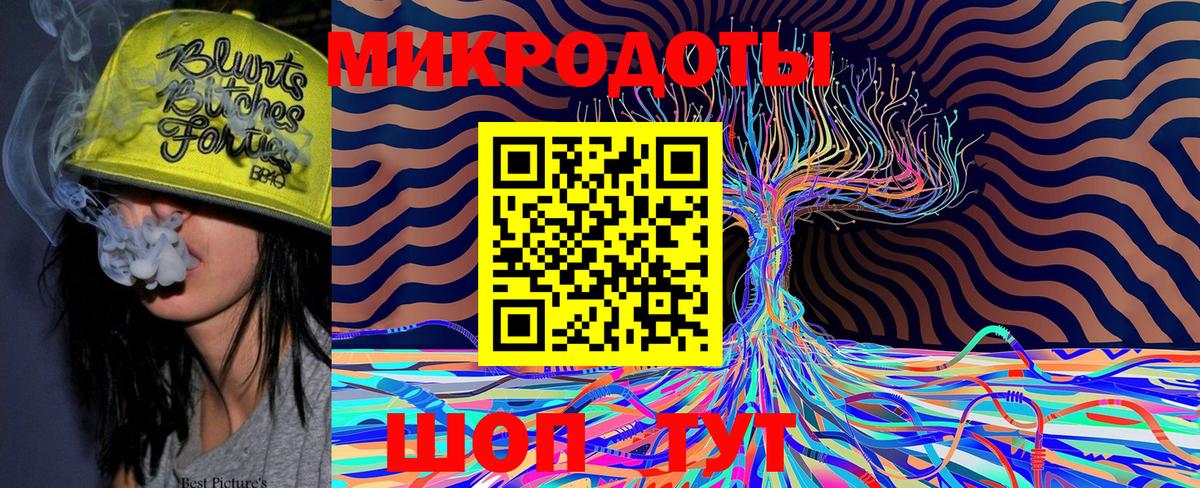 Галлюциногенные грибы Psilocybe Бахчисарай